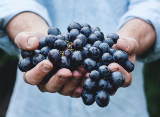 Tasting wines from high altitudes