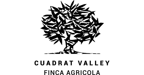 Cuadrat Valley - L'Oli