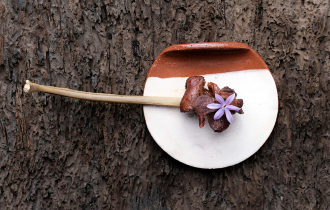 Haute cuisine braconnière