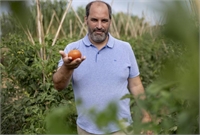 Pau Santamaria
